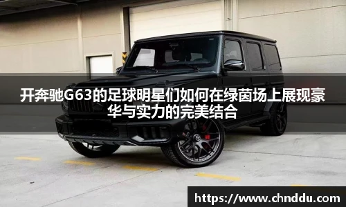 BB贝博艾弗森体育