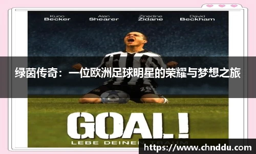 绿茵传奇：一位欧洲足球明星的荣耀与梦想之旅